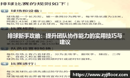 排球新手攻略：提升团队协作能力的实用技巧与建议
